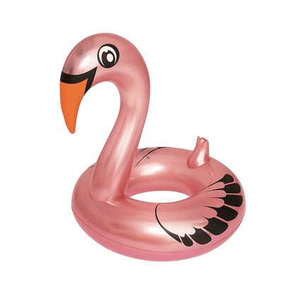 cisne aberto